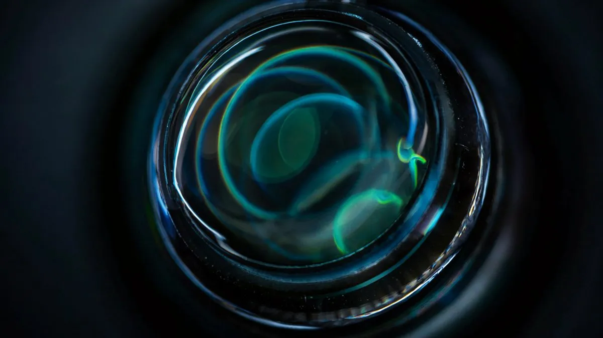 人体写真镜头怎么选:85mm还是135mm